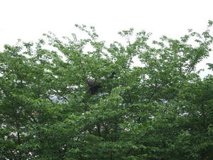 DSCF4577.JPG