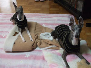 DSCF4814.JPG