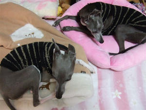 DSCF4819.JPG