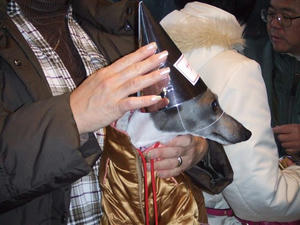 DSCF4970.JPG