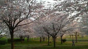 2009040717050000.jpg