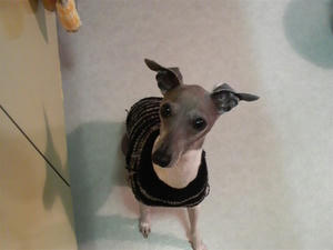 2008112816410000.jpg