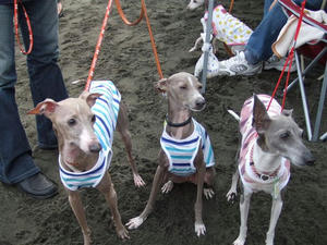 DSCF5180.JPG