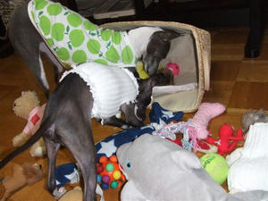 2009_09290086.JPG