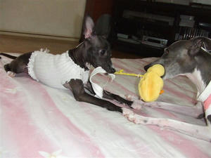 2009_09290091.JPG