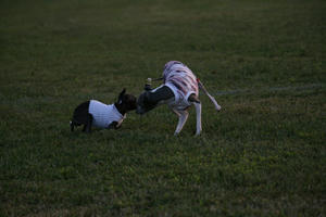 IMG_1114_5.JPG