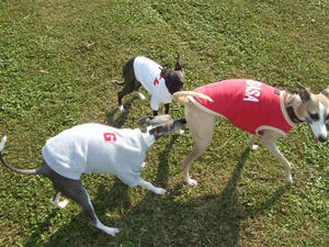2009_10150165.JPG