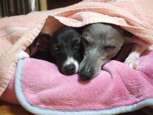 2009_10150147.JPG