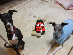 DSCF6432.JPG
