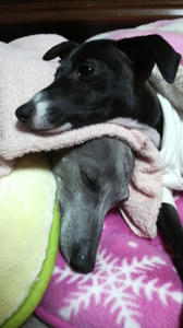 2009102519480000.jpg