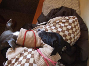 DSCF6464.JPG