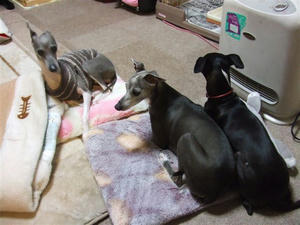 DSCF6482.JPG