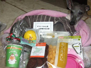 DSCF6512.JPG