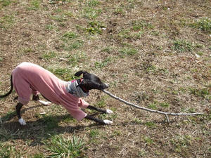 DSCF6571.JPG