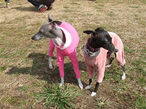DSCF6561.JPG
