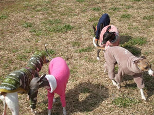 DSCF6556.JPG