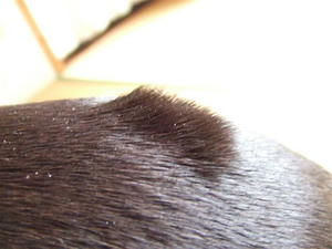 DSCF6581.JPG