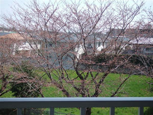 DSCF6544.JPG