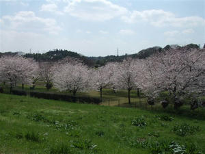 DSCF6586.JPG