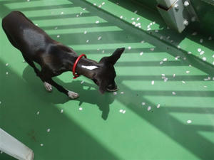DSCF6513.JPG