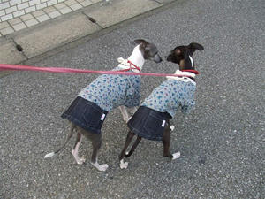 DSCF6678.JPG