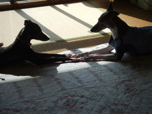 DSCF6684.JPG