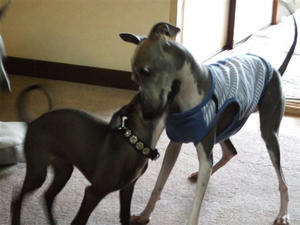DSCF6733.JPG