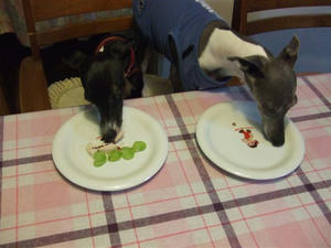 DSCF6760.JPG