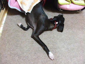 DSCF6689.JPG
