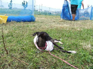 DSCF6745.JPG