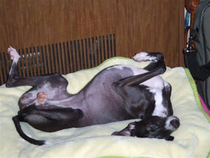 DSCF6852.JPG