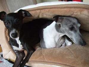 DSCF6907.JPG
