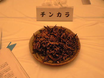 CA3A0090.JPG