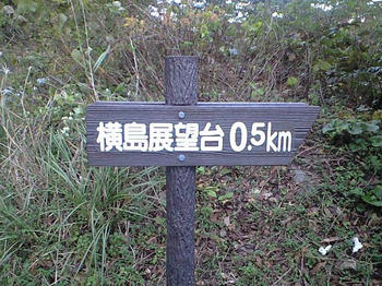 CA3A0159.JPG