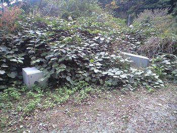 CA3A0157.JPG