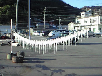 CA3A0166.JPG