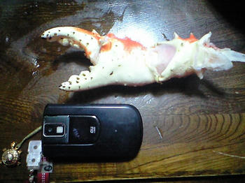 CA3A0221.JPG