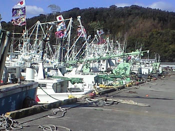 CA3A0226.JPG