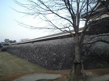 CA3A0237.JPG