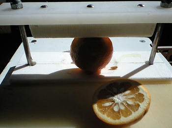 CA3A0223.JPG