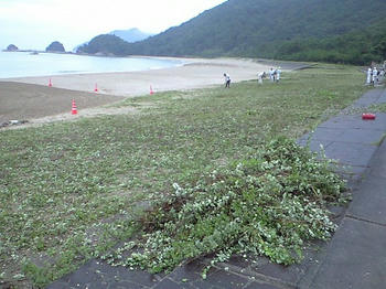 CA3A0340.JPG