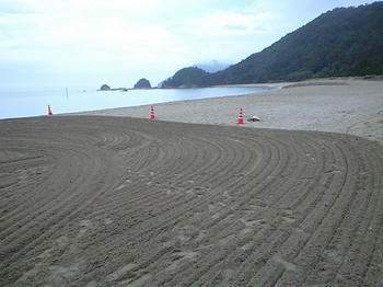 CA3A0338.JPG
