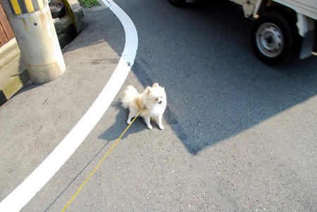 どきませんぞ