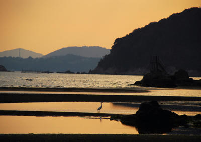 黄金色の水面