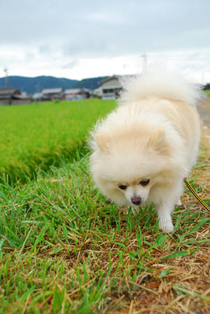 くもり空