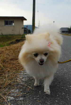 くもくも