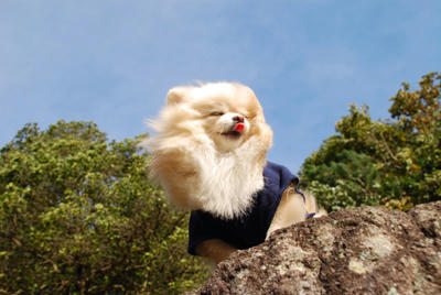 見下ろす