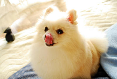 おはよう