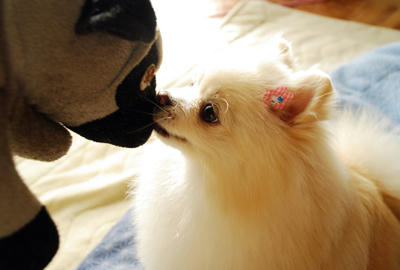 モーニングキッス