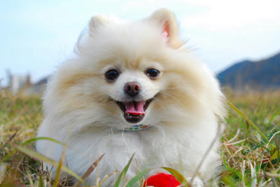 ニパッ♪